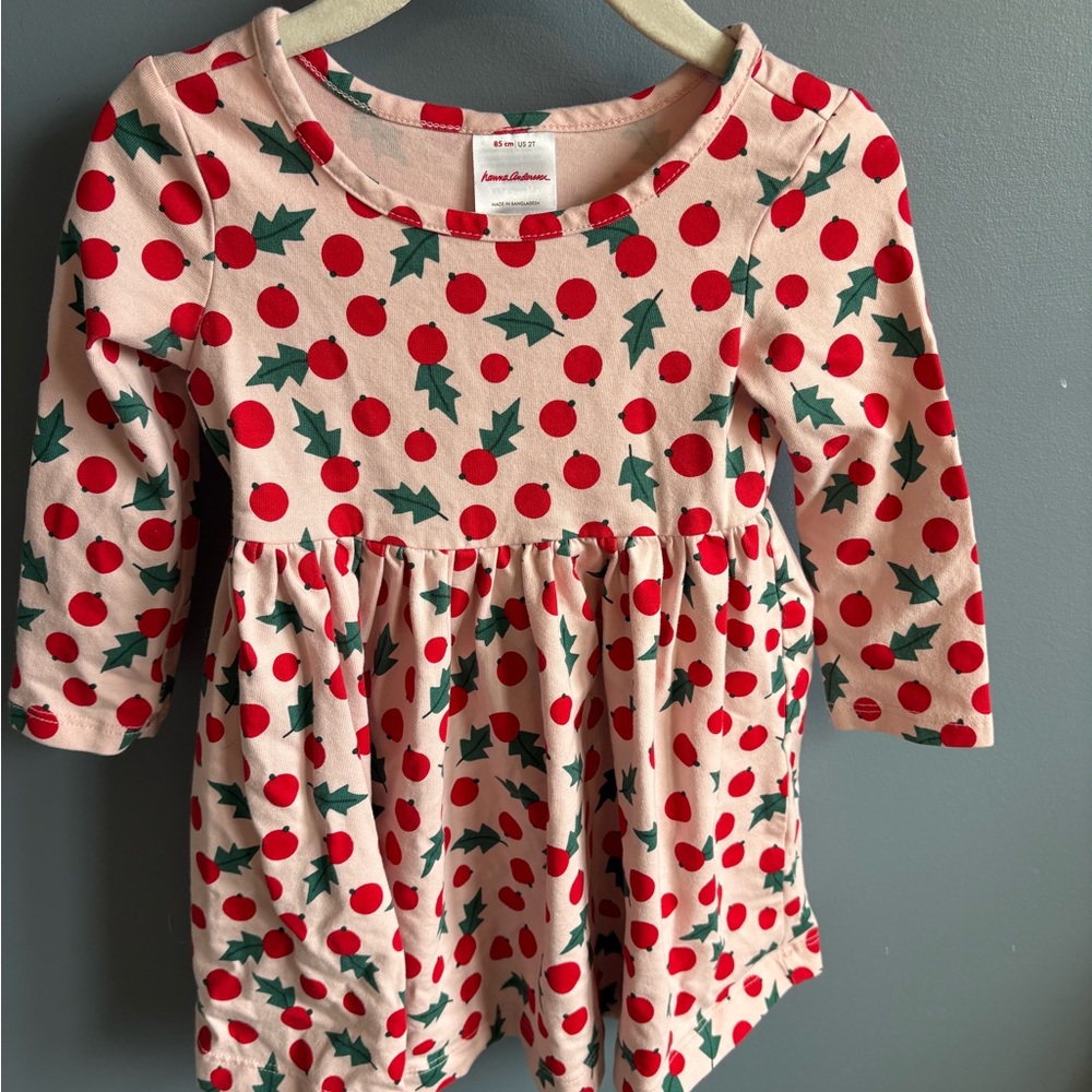 Hanna Andersson Holly Berry Holiday Dress